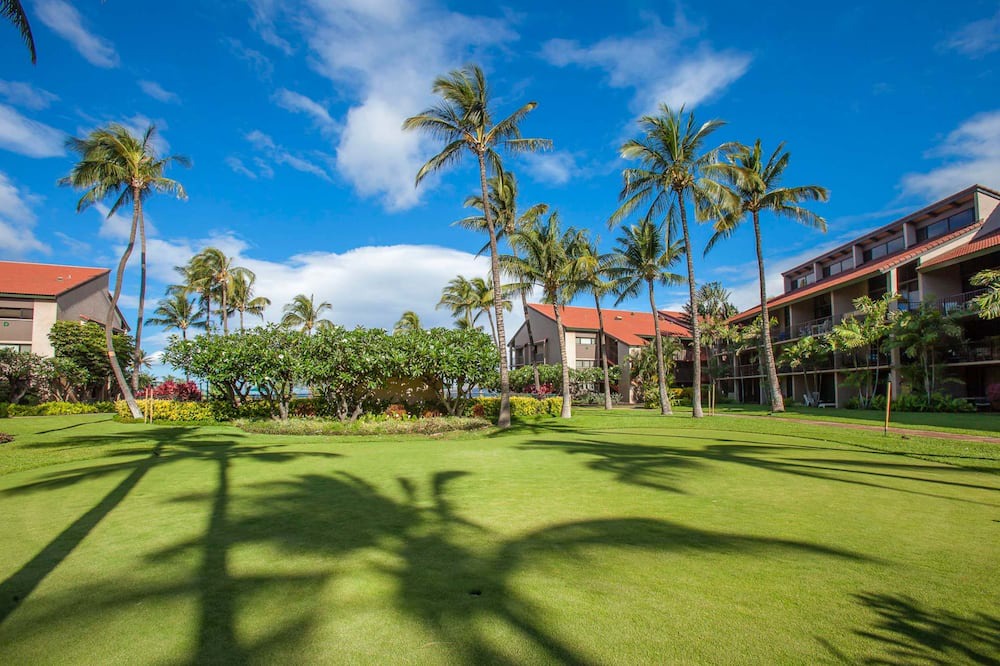 Photo of Outdoor in Kihei
