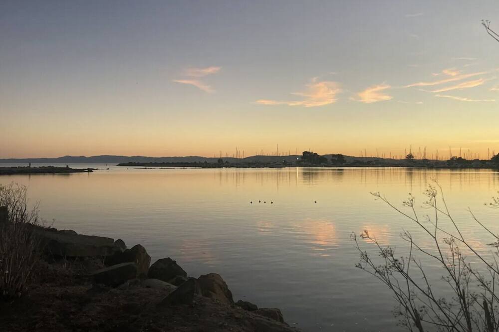 Photo of Outdoor in West Alameda