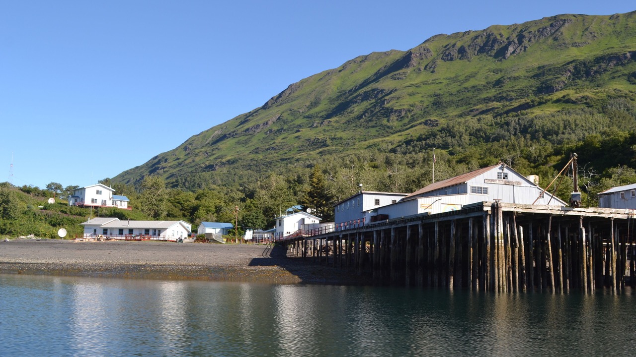 Photo of Others in Kodiak