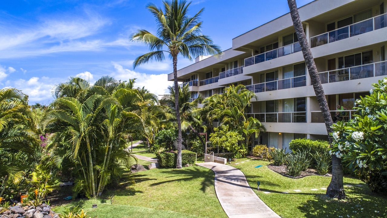 Photo of Outdoor in Kihei