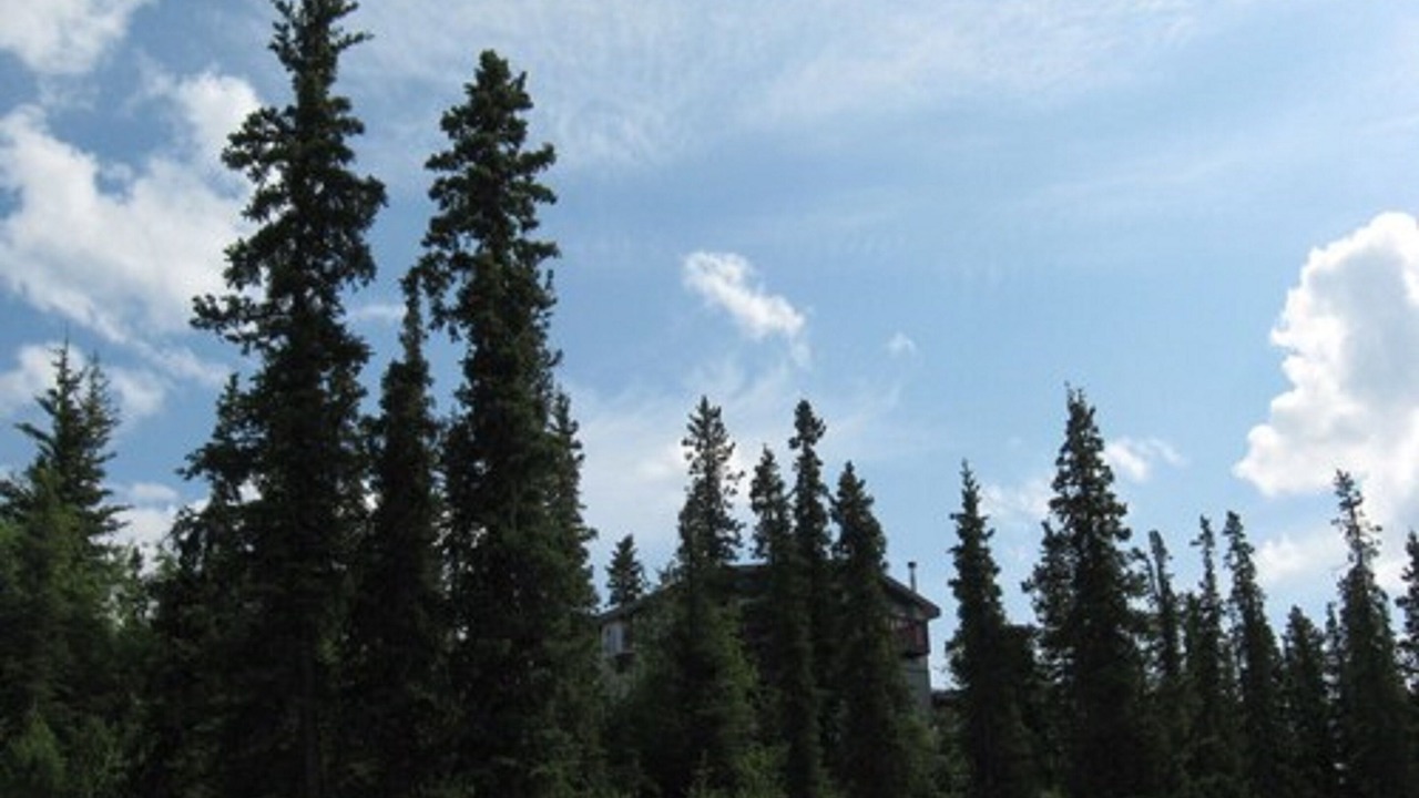 Photo of Outdoor in McKinley Park