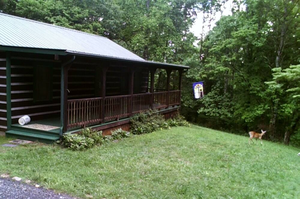 Photo of Others in Spruce Pine