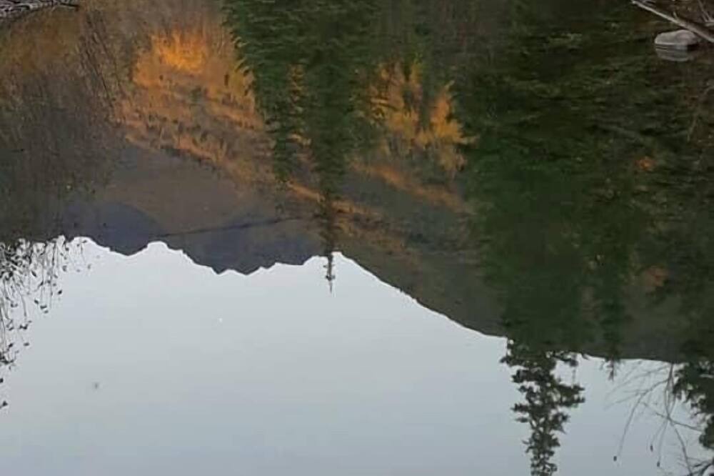 Photo of Others in Kenai