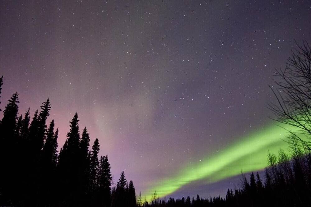 Photo of Outdoor in Kenai