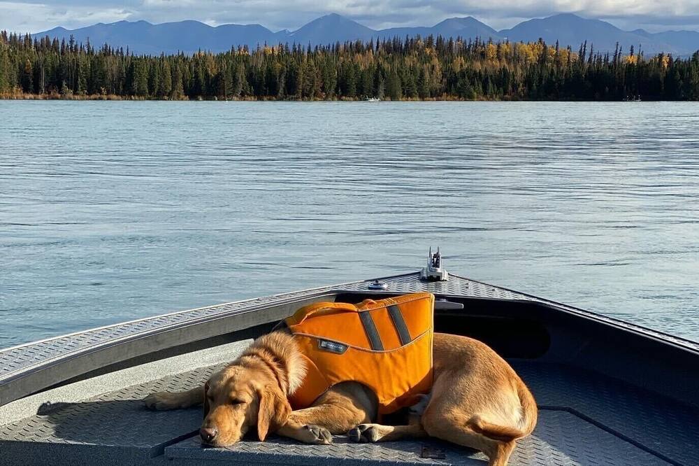 Photo of Others in Kenai