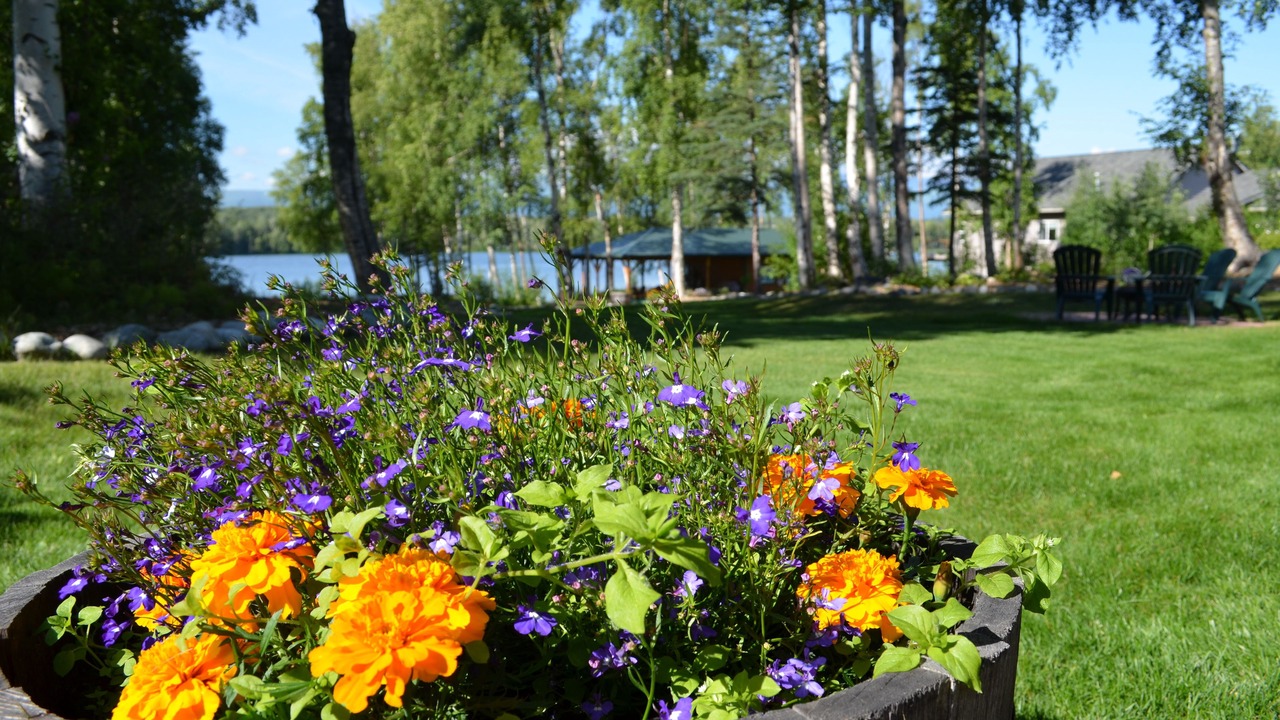 Photo of Outdoor in Wasilla