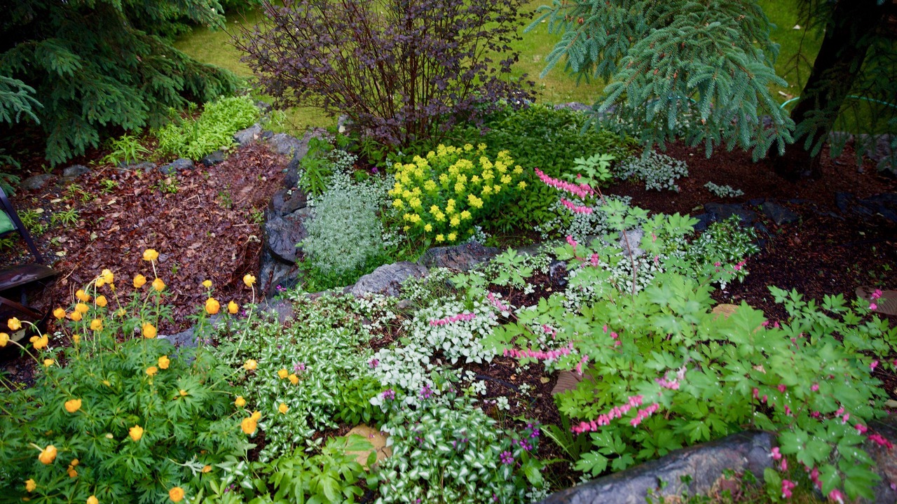 Photo of Outdoor in Fairview
