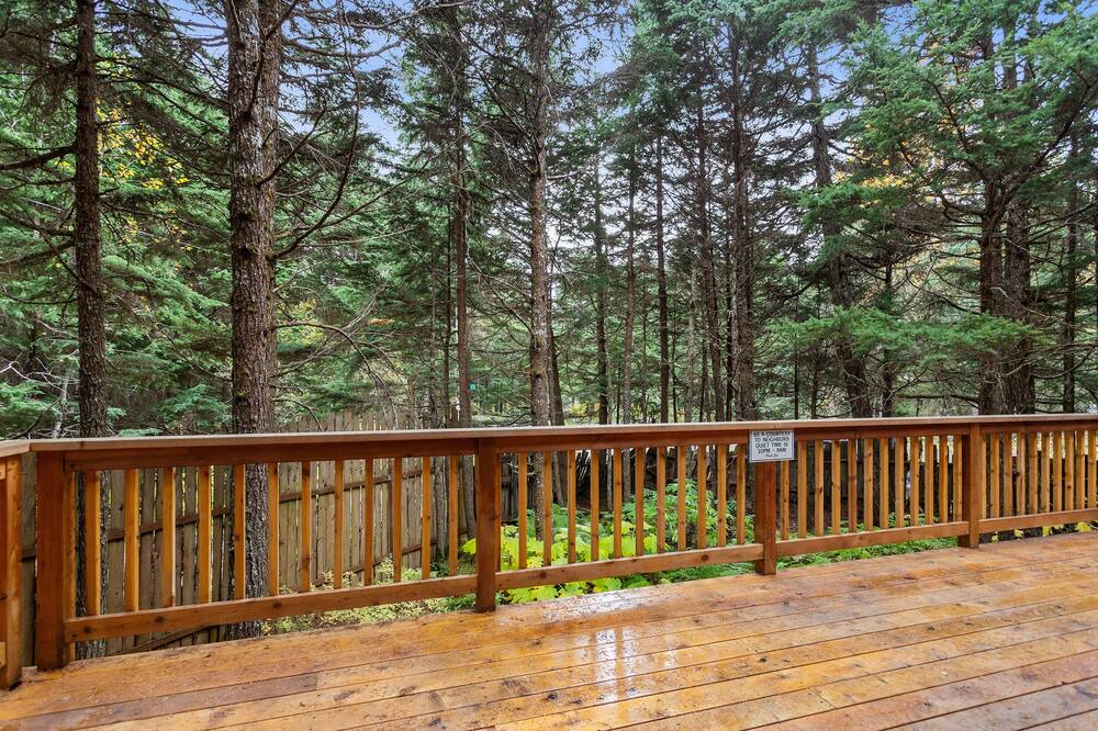 Photo of Others in Girdwood