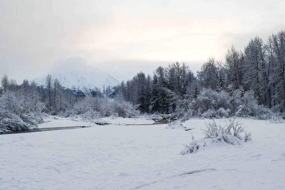 Photo of Others in Girdwood