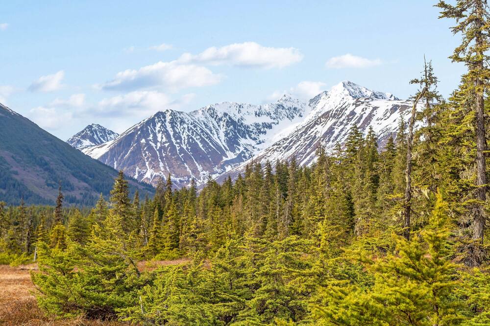 Photo of Others in Girdwood