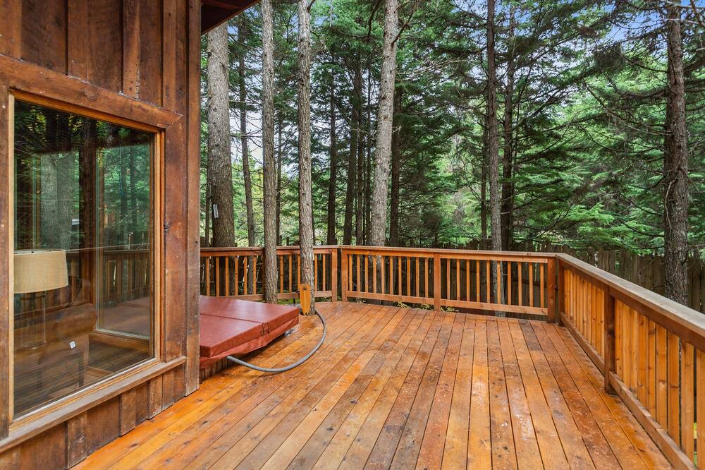 Photo of Others in Girdwood