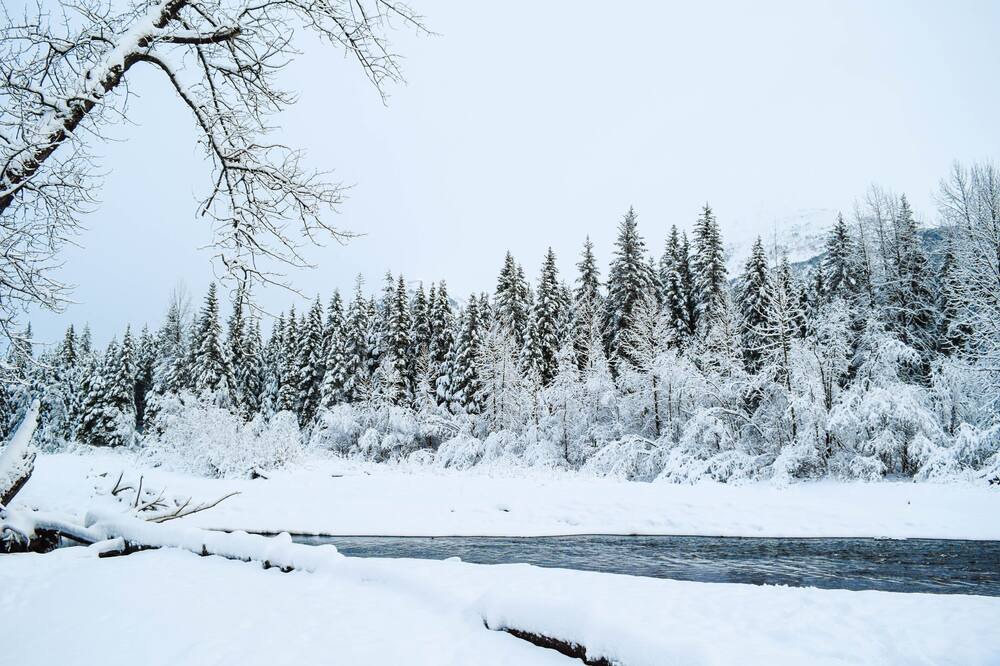 Photo of Others in Girdwood