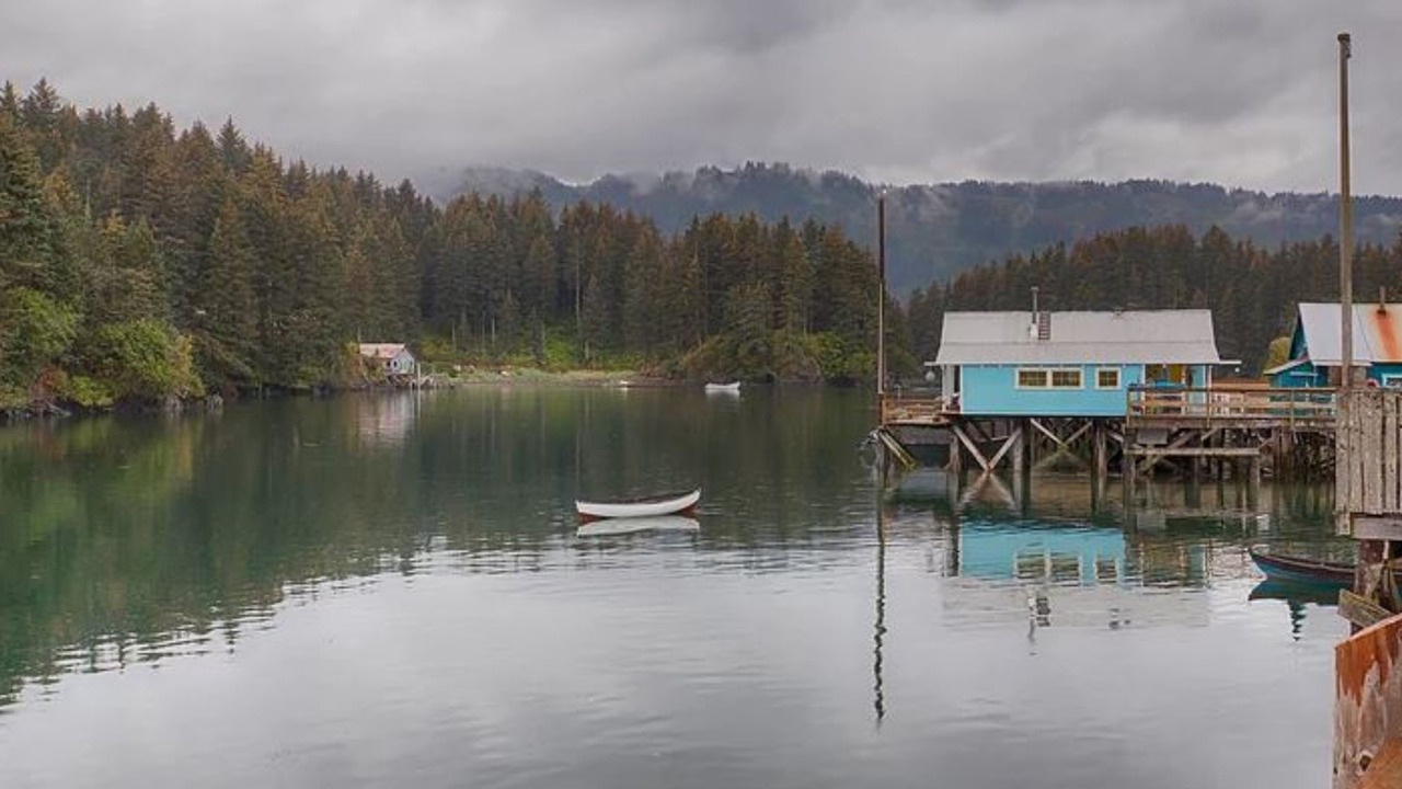 Photo of Others in Seldovia