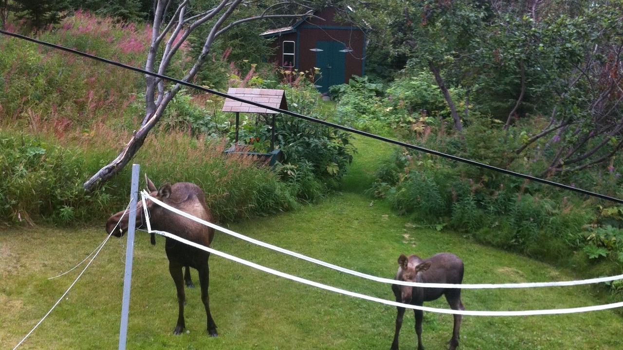 Photo of Others in Eagle River