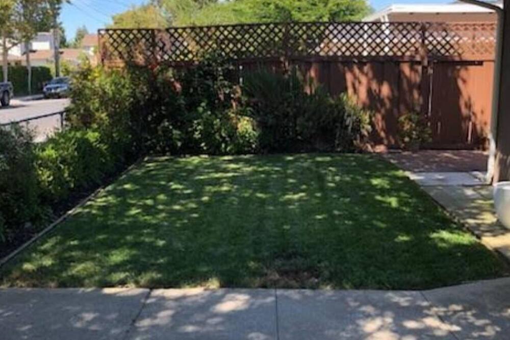 Photo of Others in Mountain View