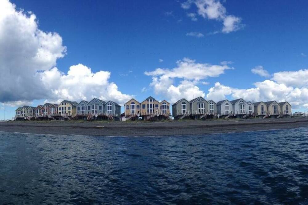 Photo of Others in Homer