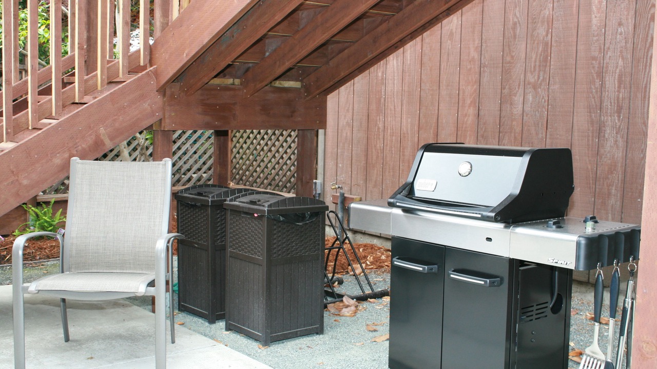 Photo of Outdoor in Elmwood