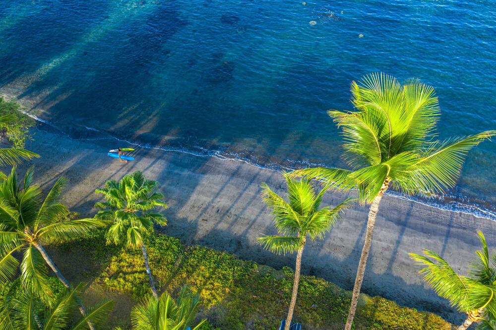 Photo of Others in Historic Lahaina Front Street