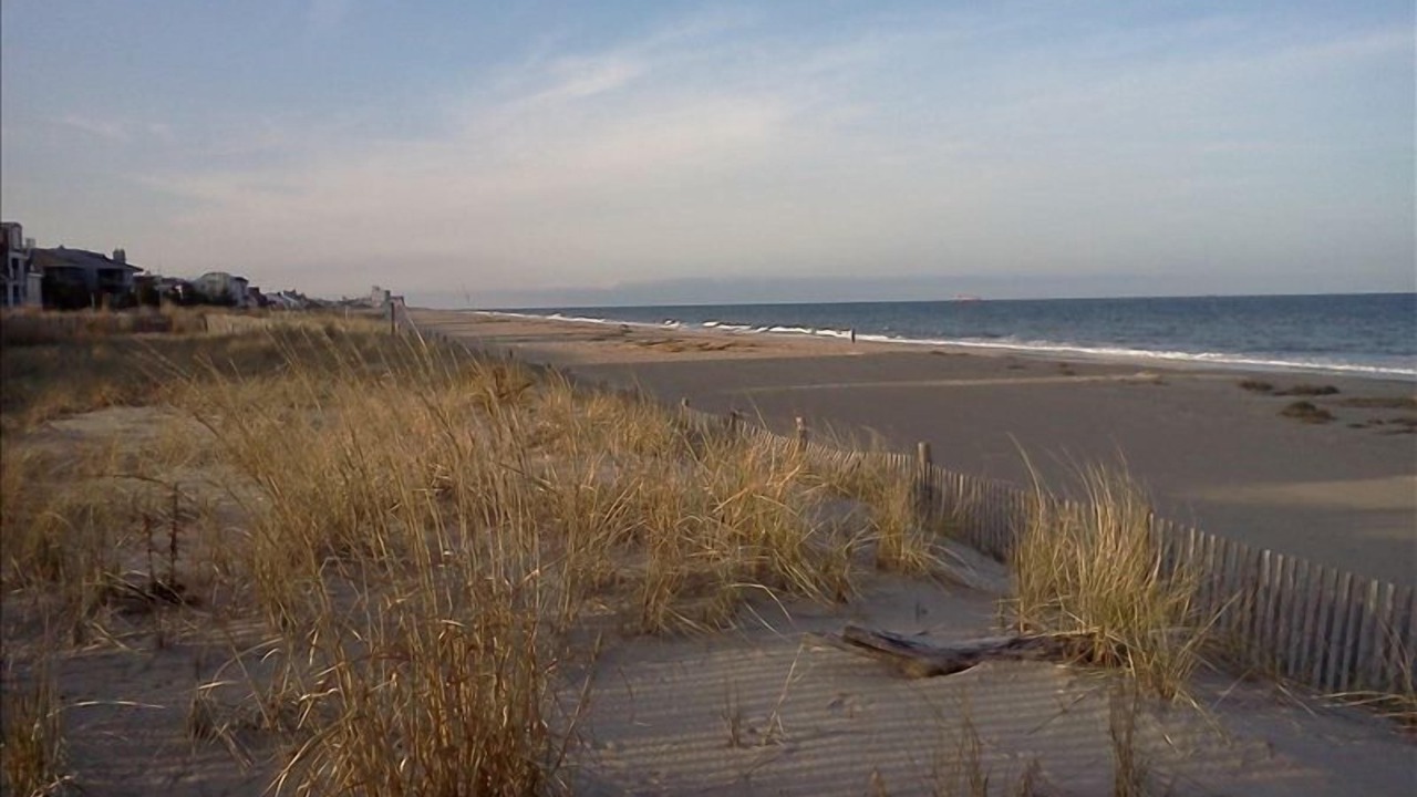 Photo of Others in Rehoboth by the Sea