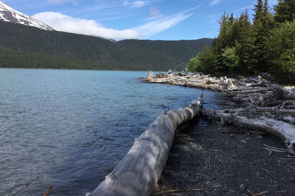 Photo of Outdoor in Primrose