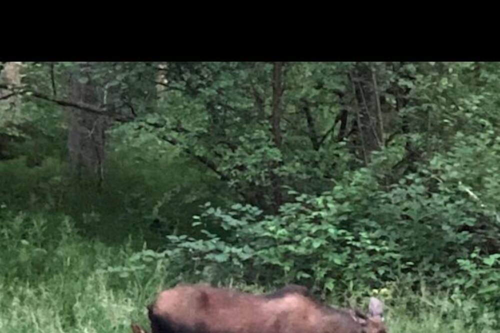 Photo of Others in Fairbanks