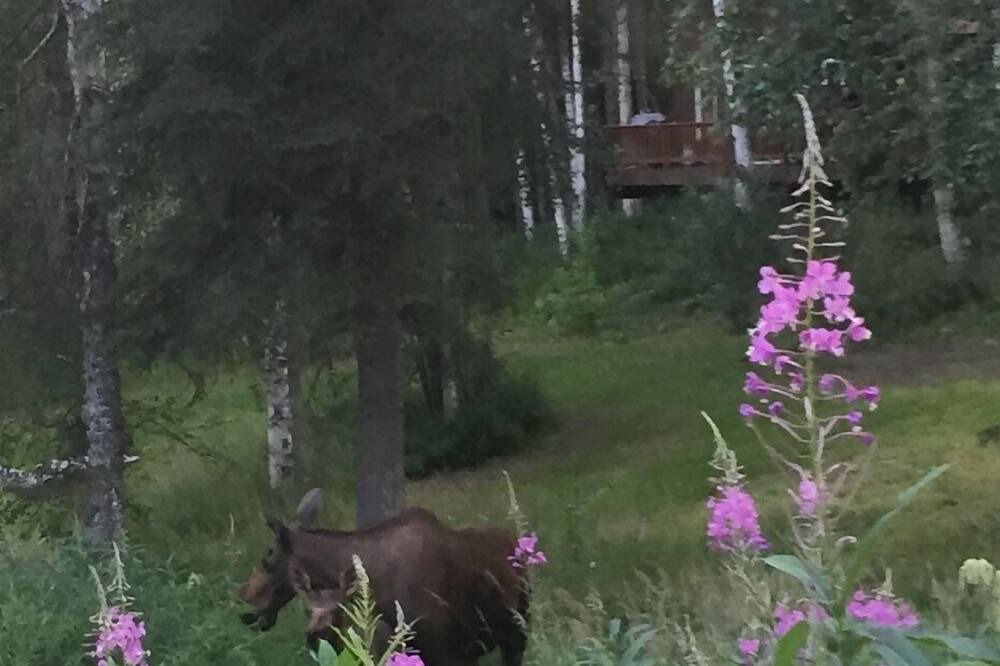 Photo of Others in Fairbanks