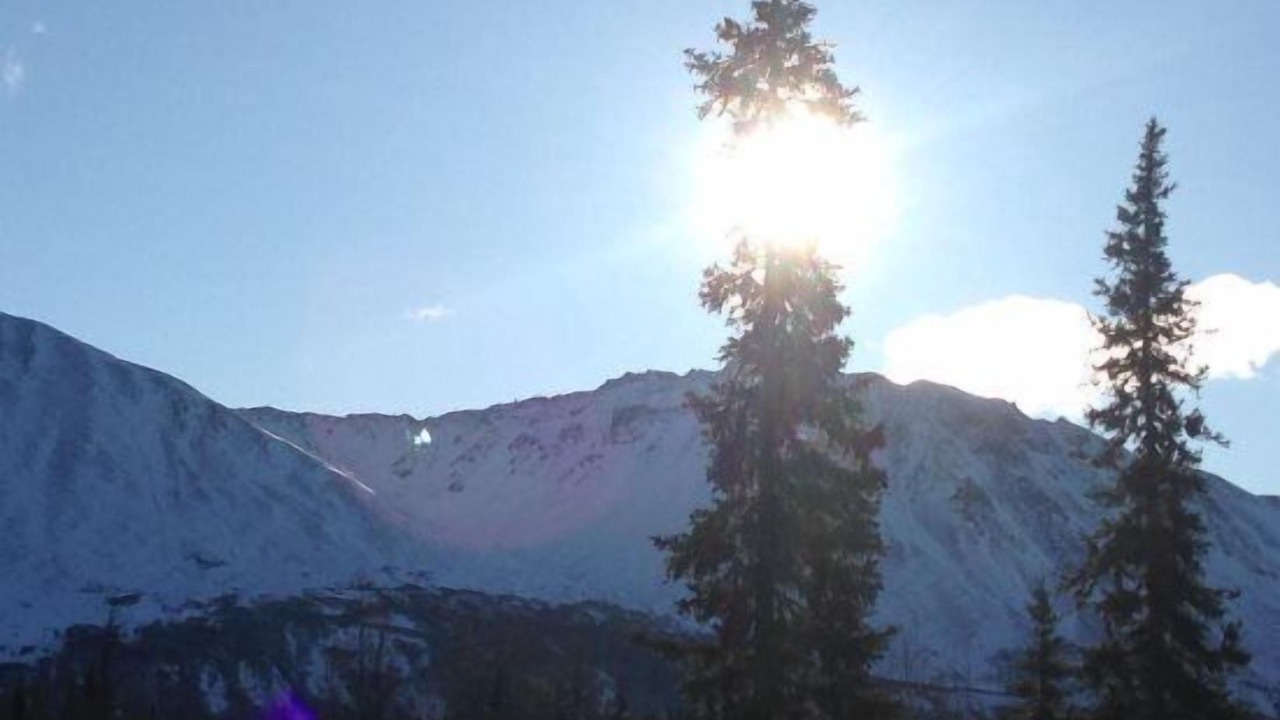 Photo of Others in Talkeetna