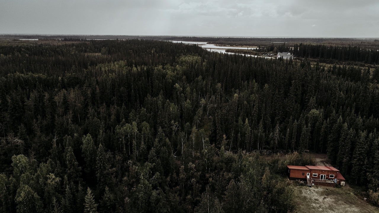 Photo of Outdoor in Fairbanks