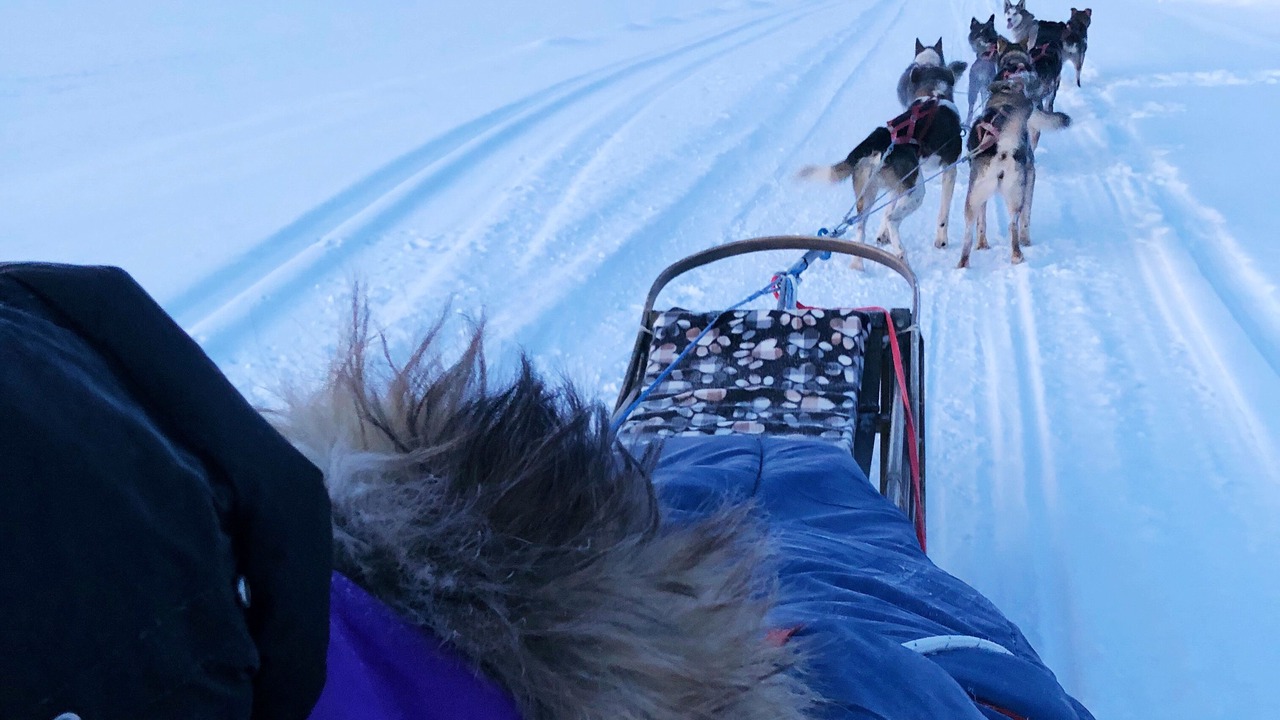 Photo of Others in Fairbanks