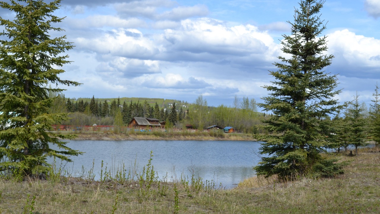 Photo of Outdoor in Fairbanks