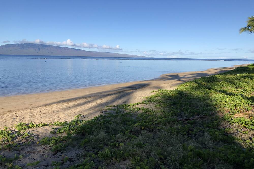 Photo of Others in Historic Lahaina Front Street