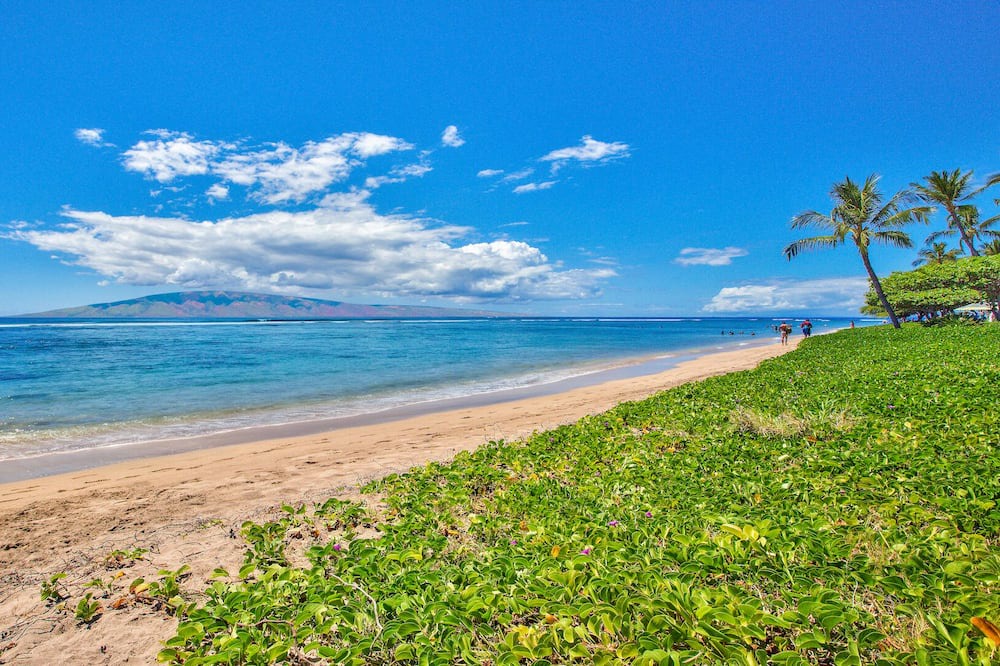 Photo of Others in Historic Lahaina Front Street