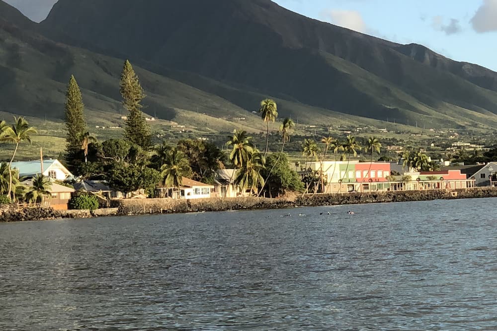 Photo of Others in Historic Lahaina Front Street