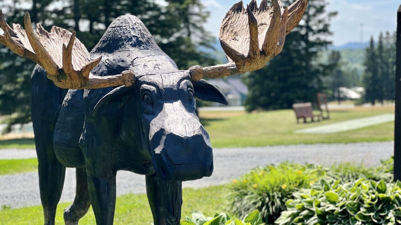 Photo of Others in Moose River