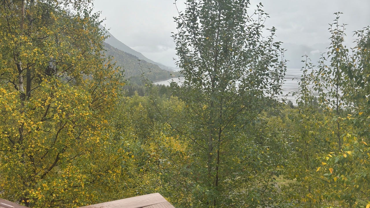 Photo of Outdoor in Indian