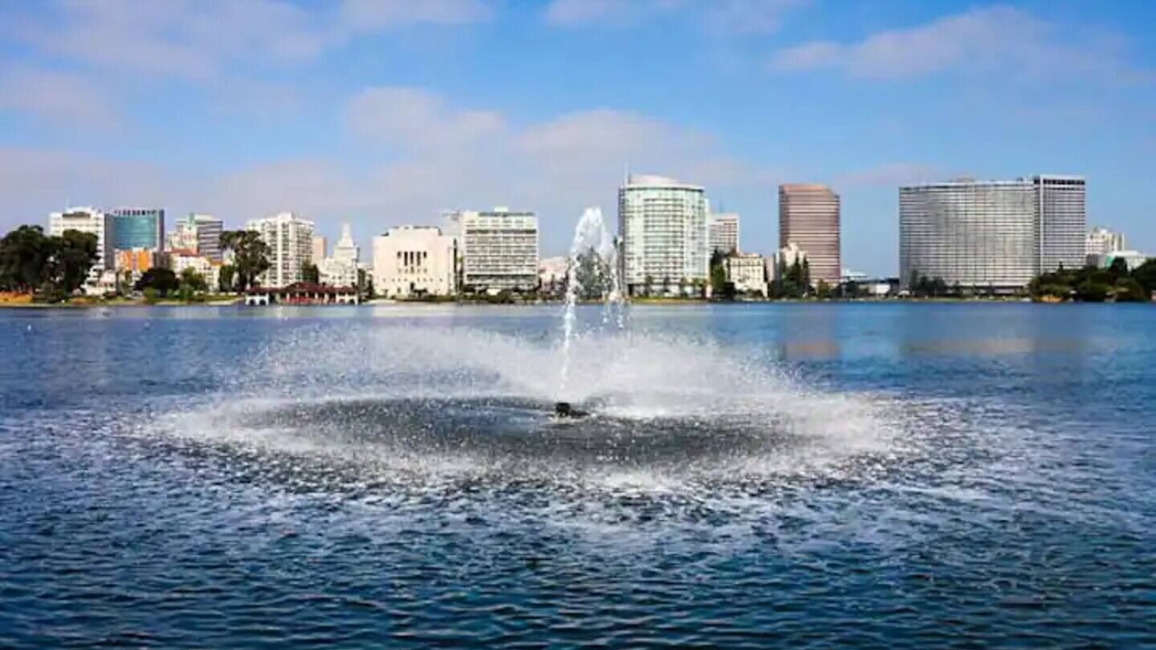 Photo of Others in Oakland