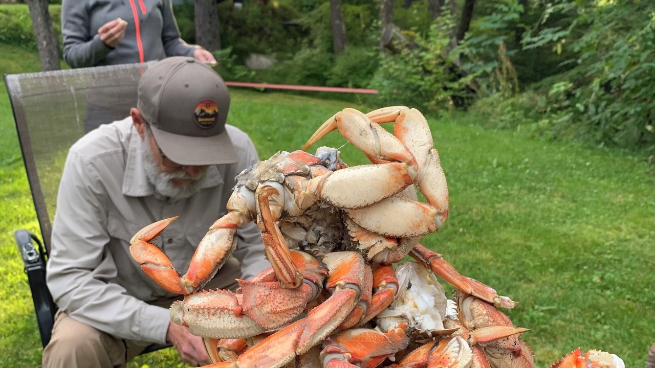 Photo of Outdoor in Haines