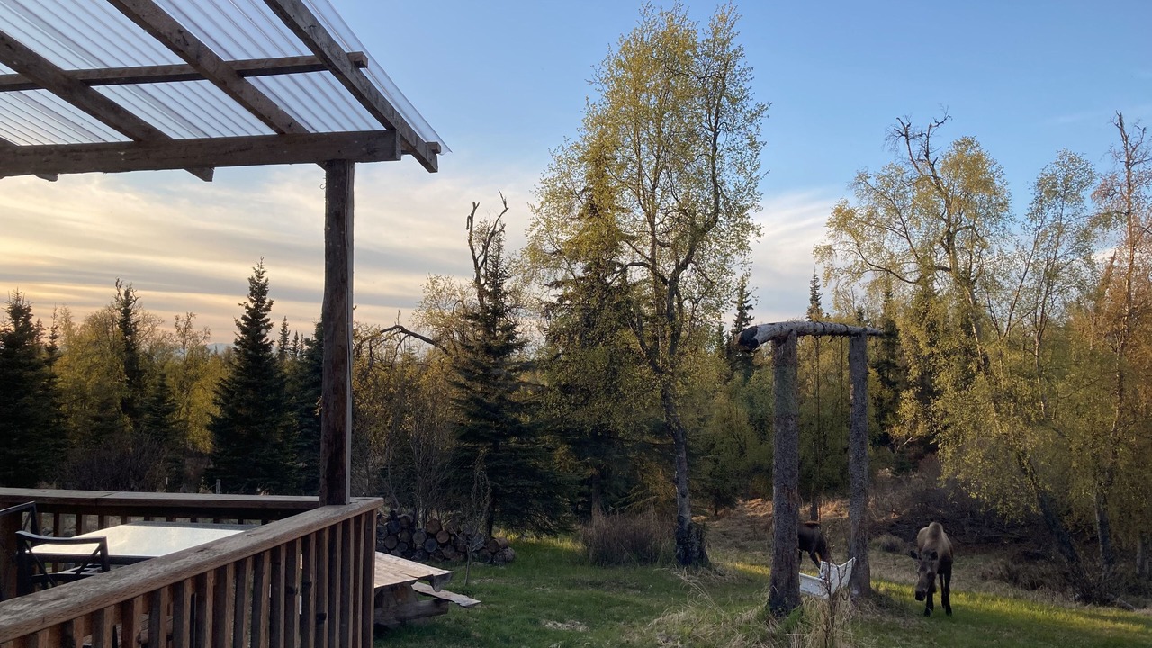 Photo of Outdoor in Cohoe