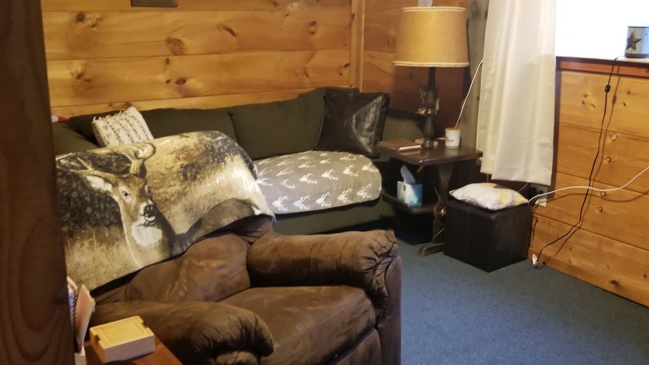Photo of Livingroom in Springfield