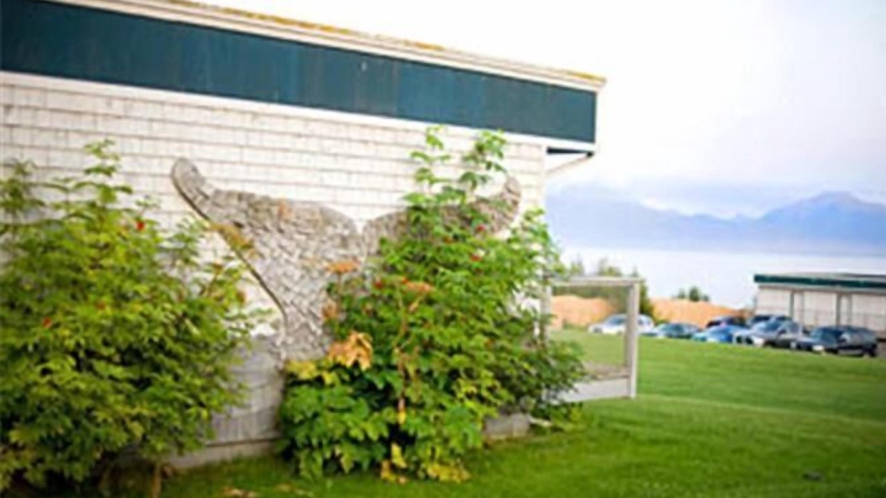 Photo of Outdoor in Homer