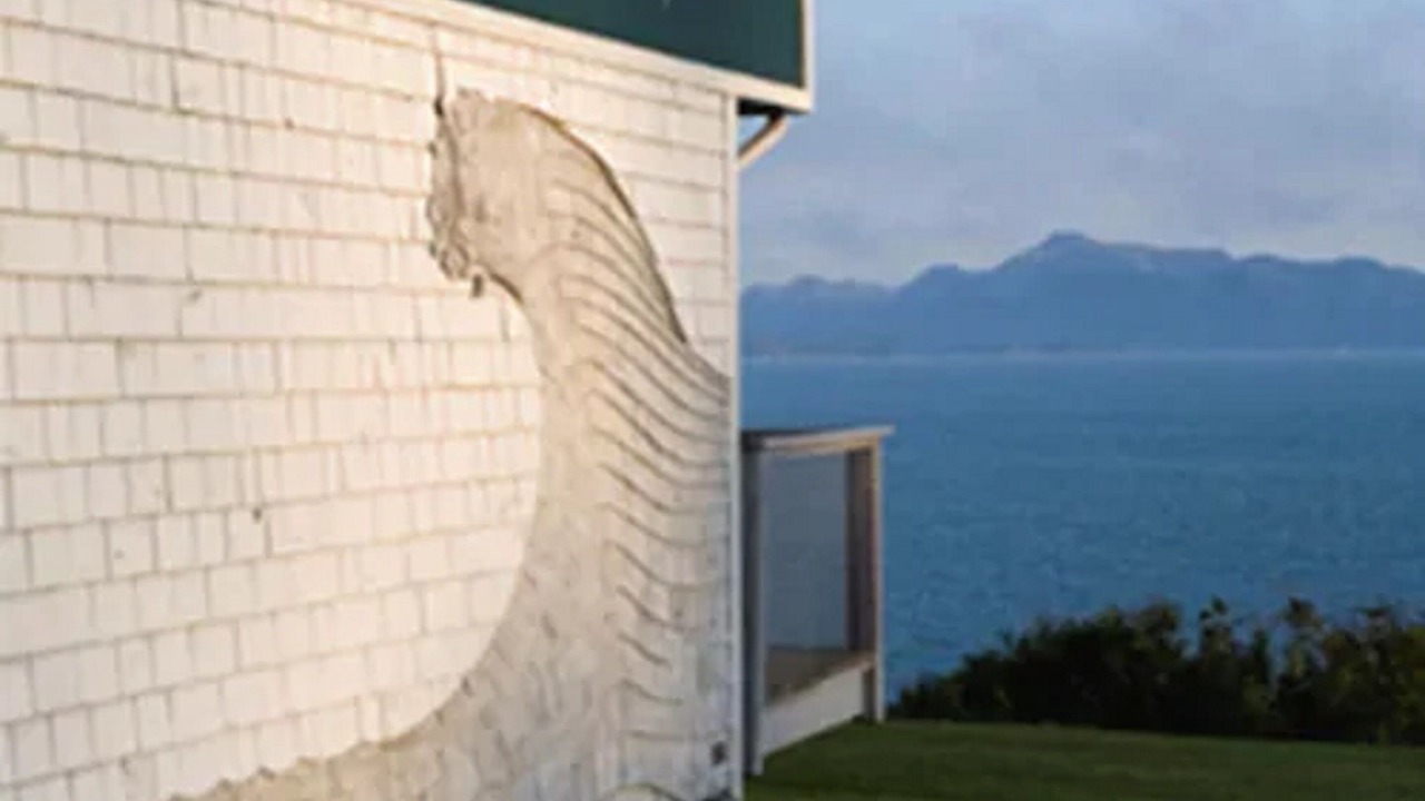 Photo of Outdoor in Homer