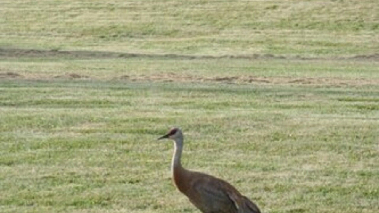 Photo of Outdoor in Homer
