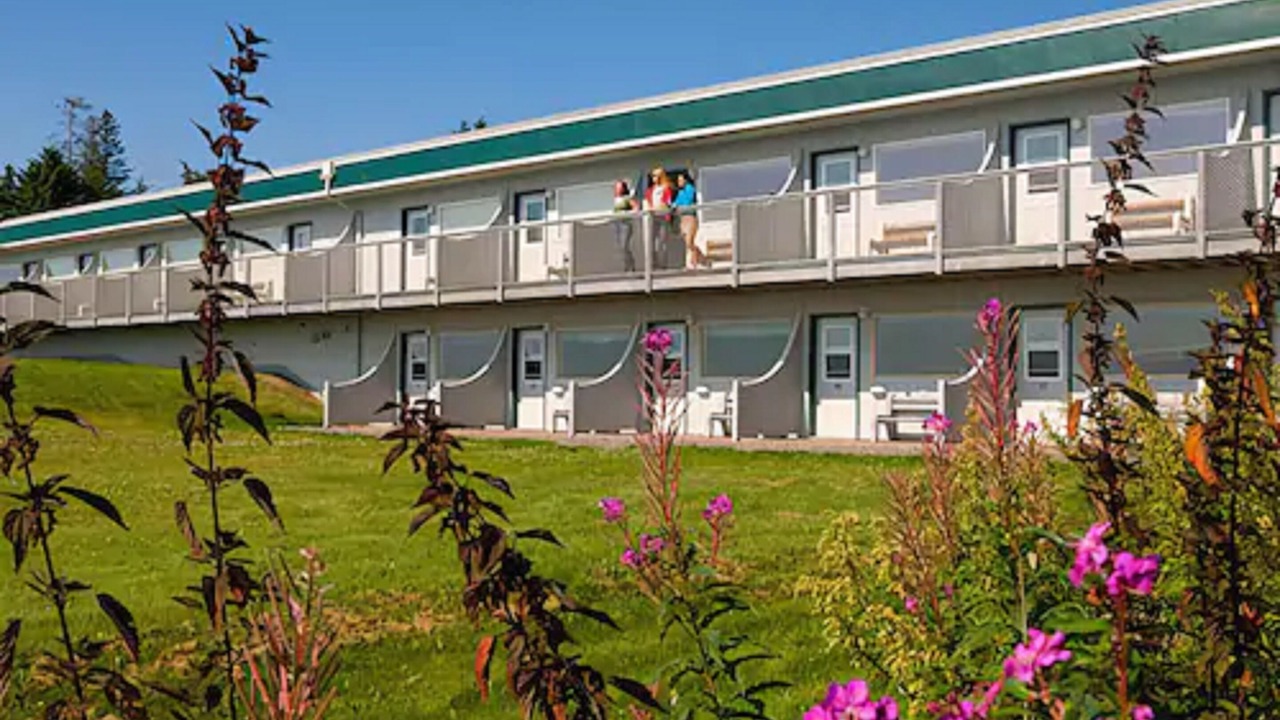 Photo of Outdoor in Homer