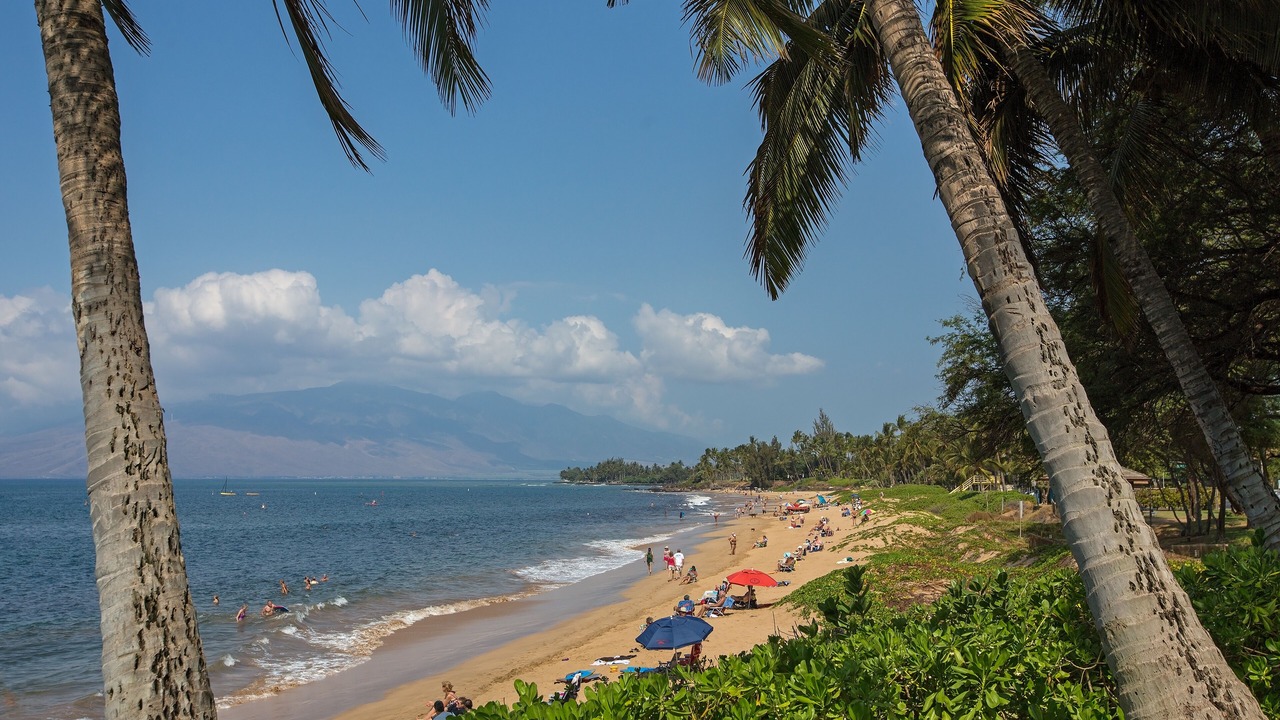 Photo of Others in Kihei