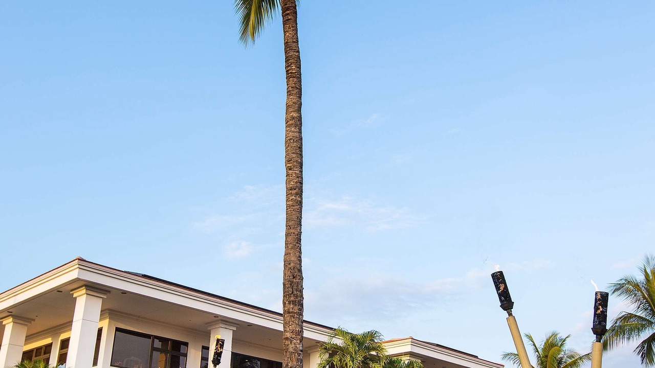 Photo of Outdoor in Kihei