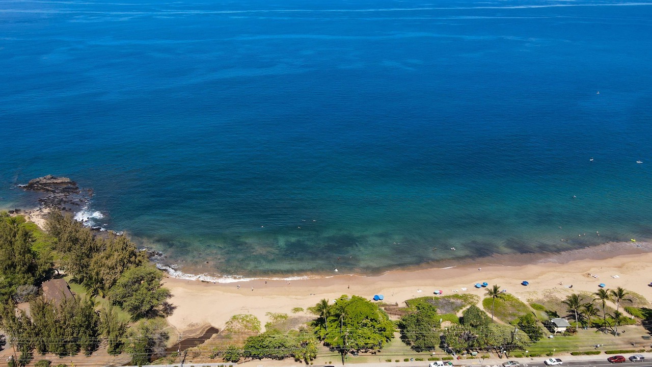 Photo of Others in Kihei
