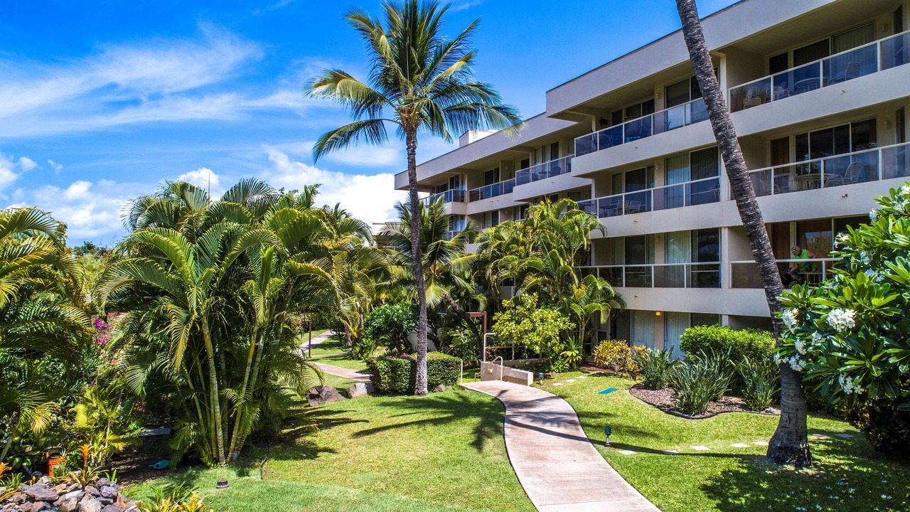 Photo of Outdoor in Kihei