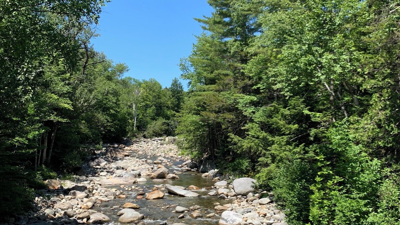 Photo of Outdoor in Kingfield
