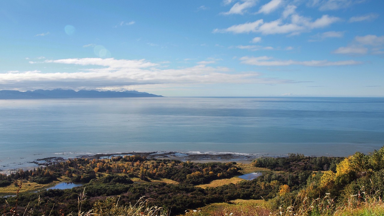 Photo of Others in Homer