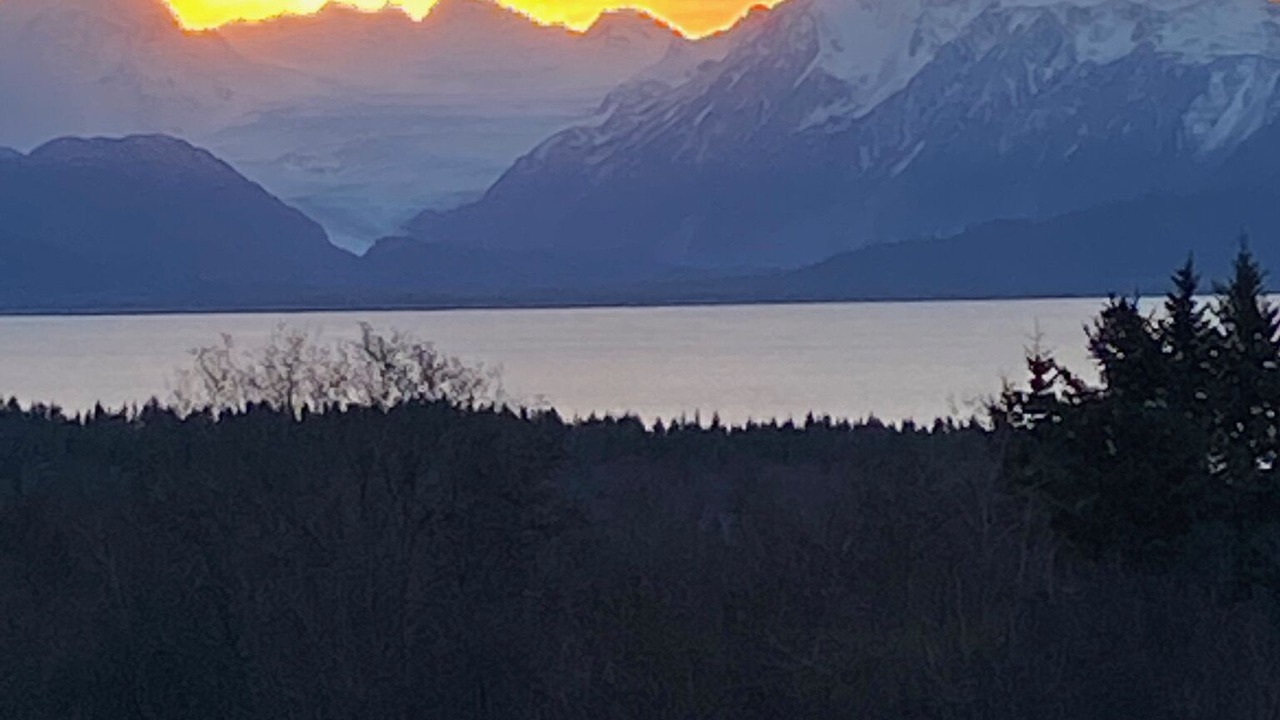 Photo of Others in Homer